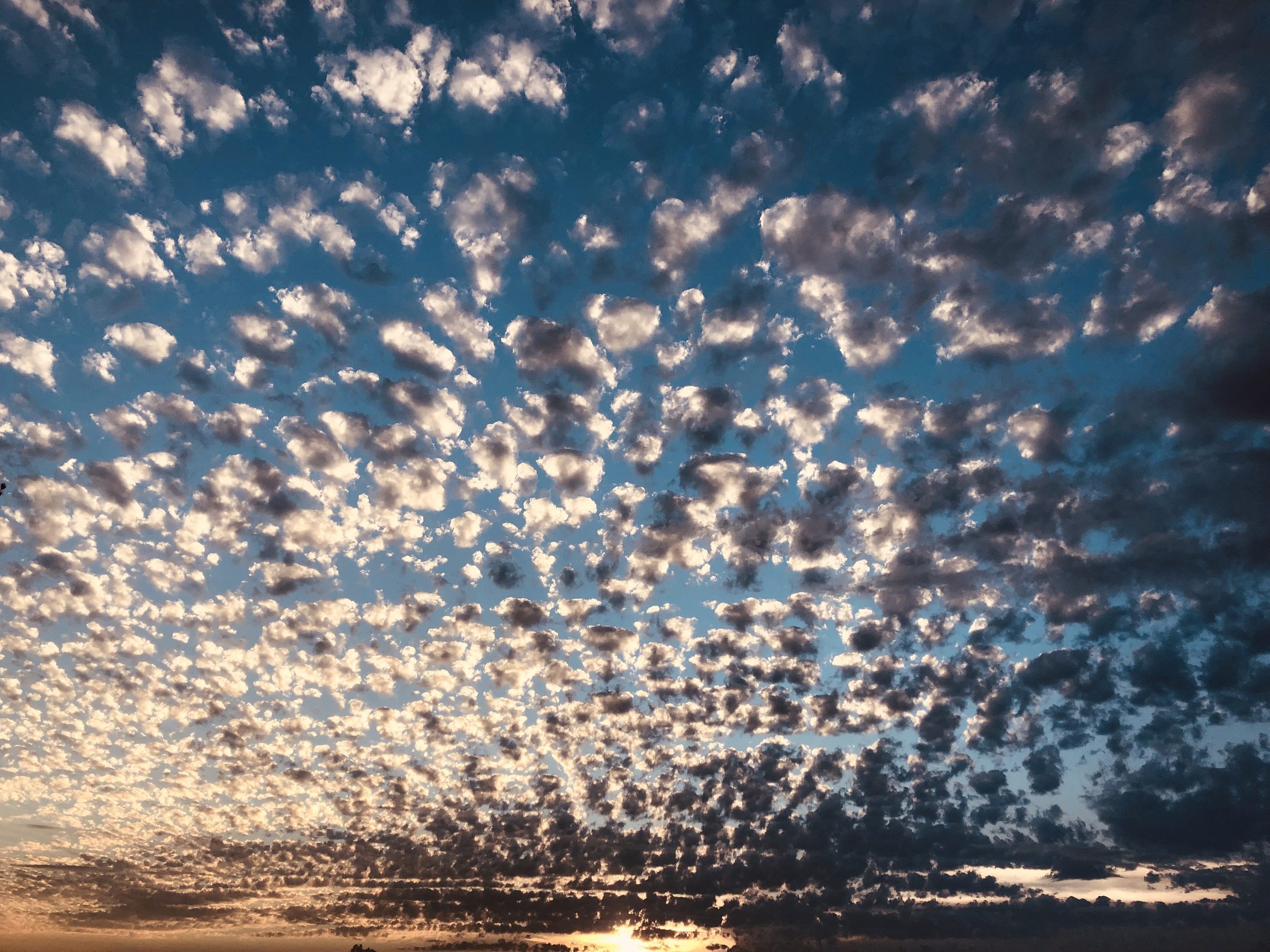 Altocumulus clouds at golden hour