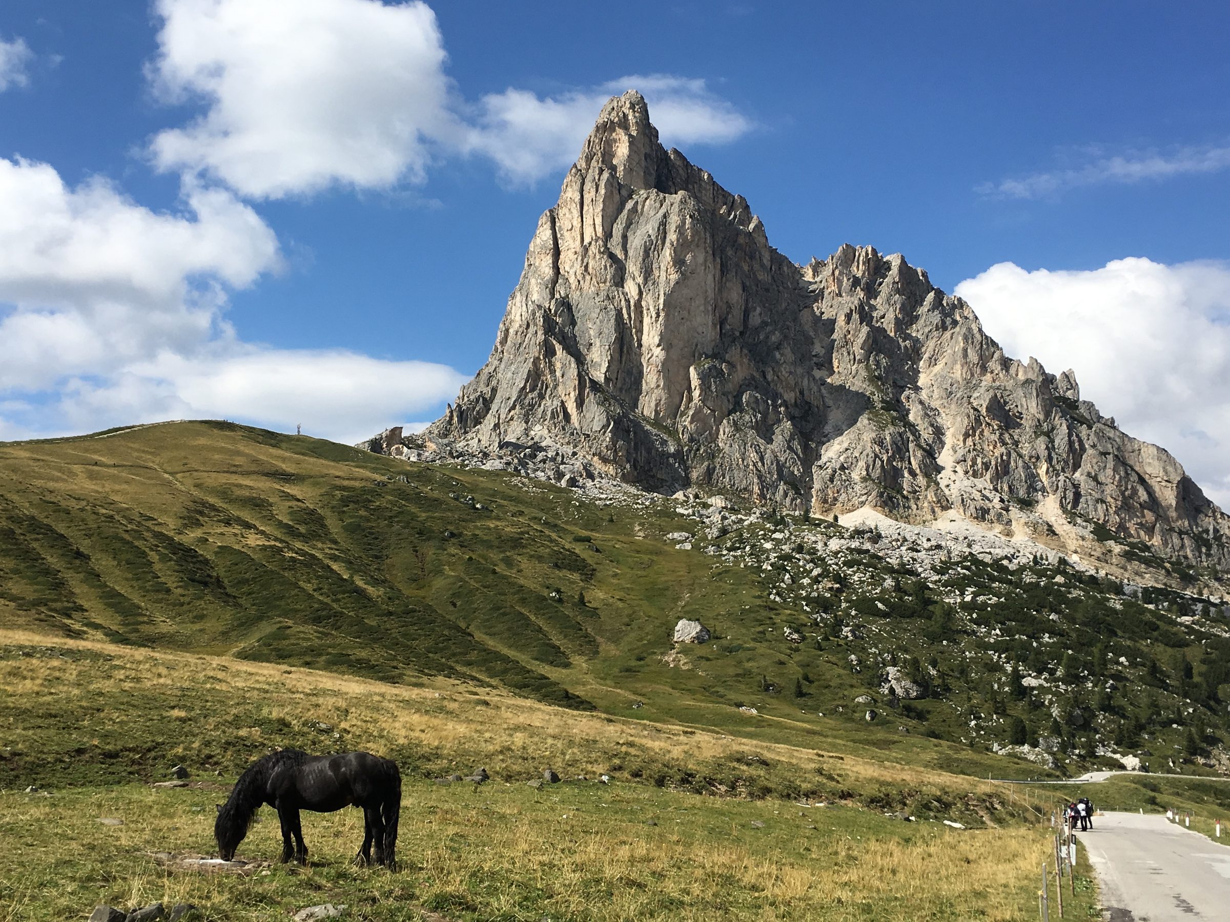 Horse grazing, Dolomites