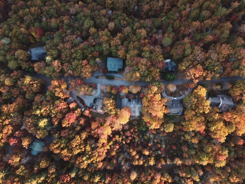 Aerial fall foliage with houses below