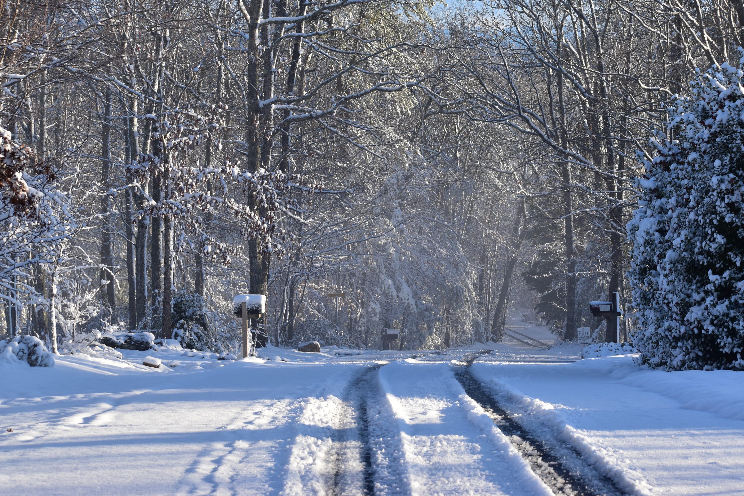 Sunlight breaking through on a snowy road